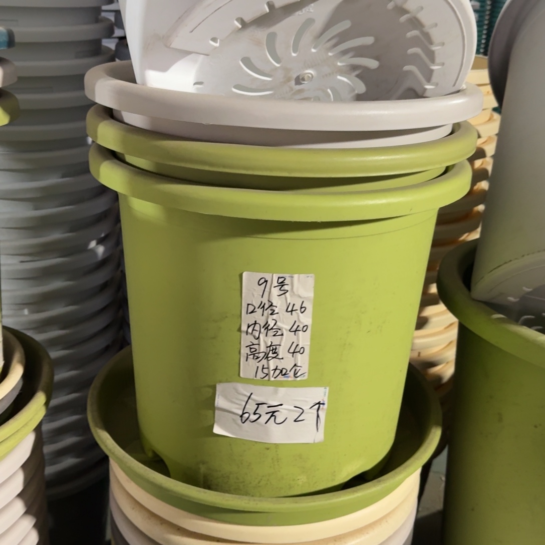 四季9#口径46无拖果绿3个