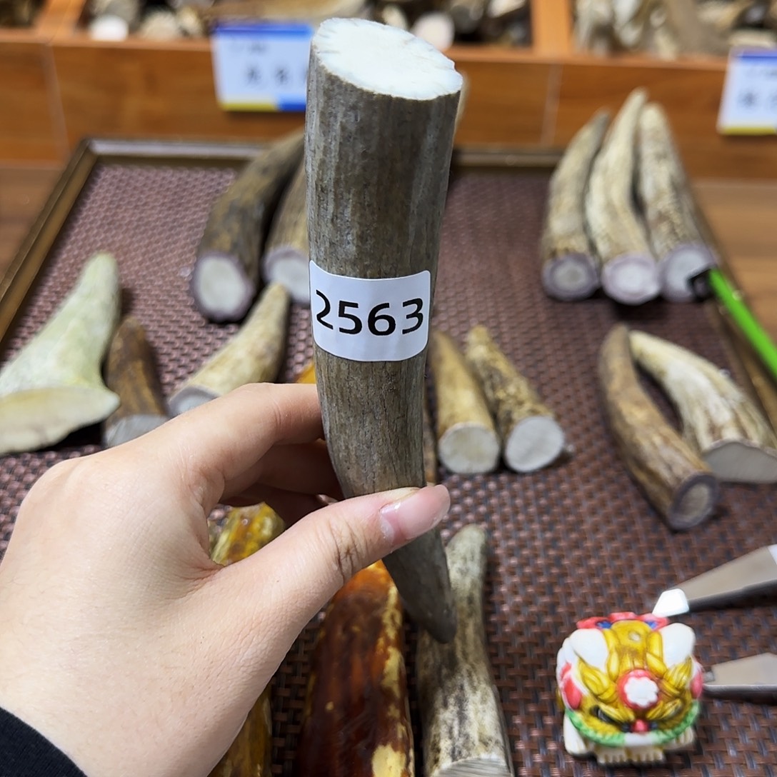 手串/手链鹿骨角尖2563