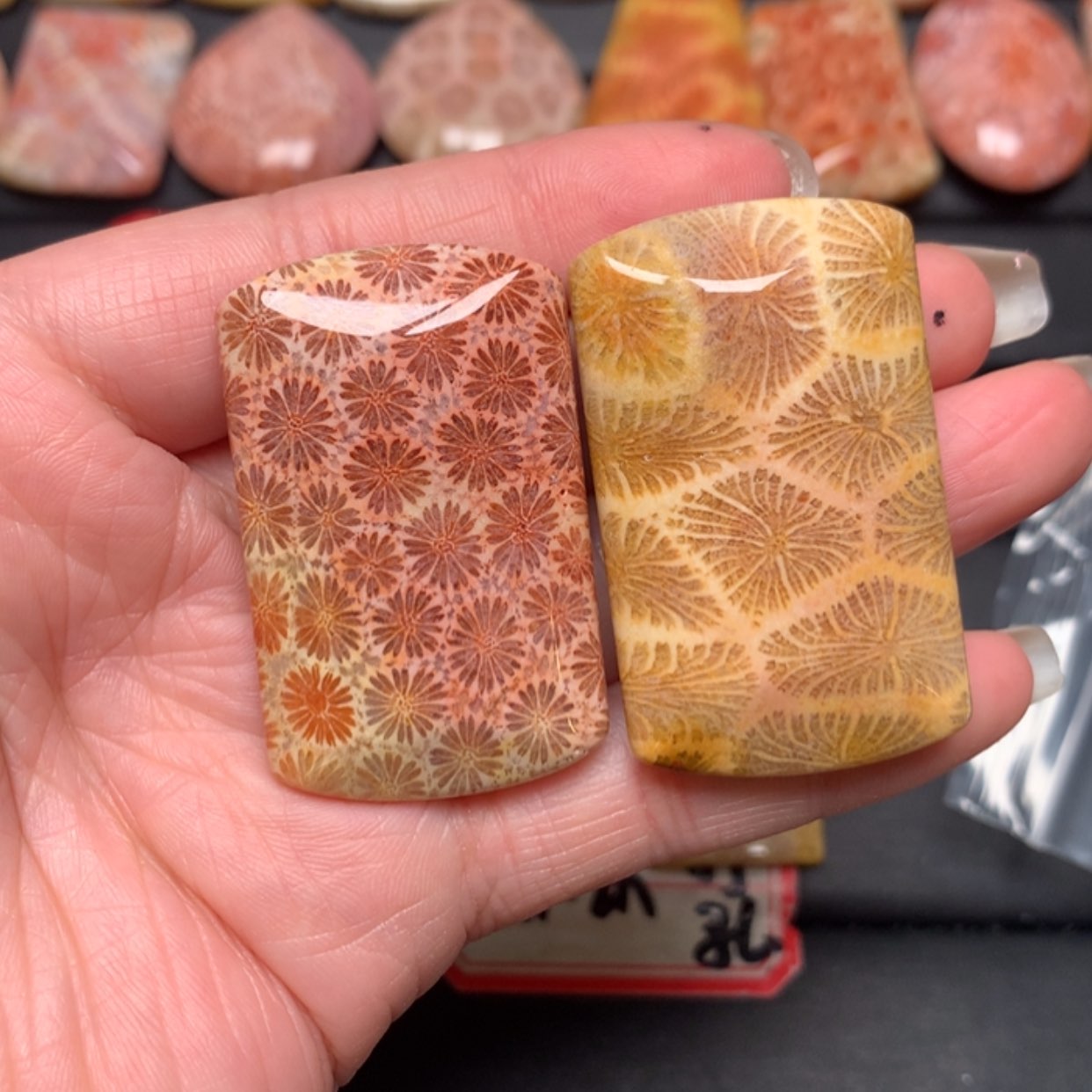 【闪购商品】硅化玉颈饰未镶嵌秦*