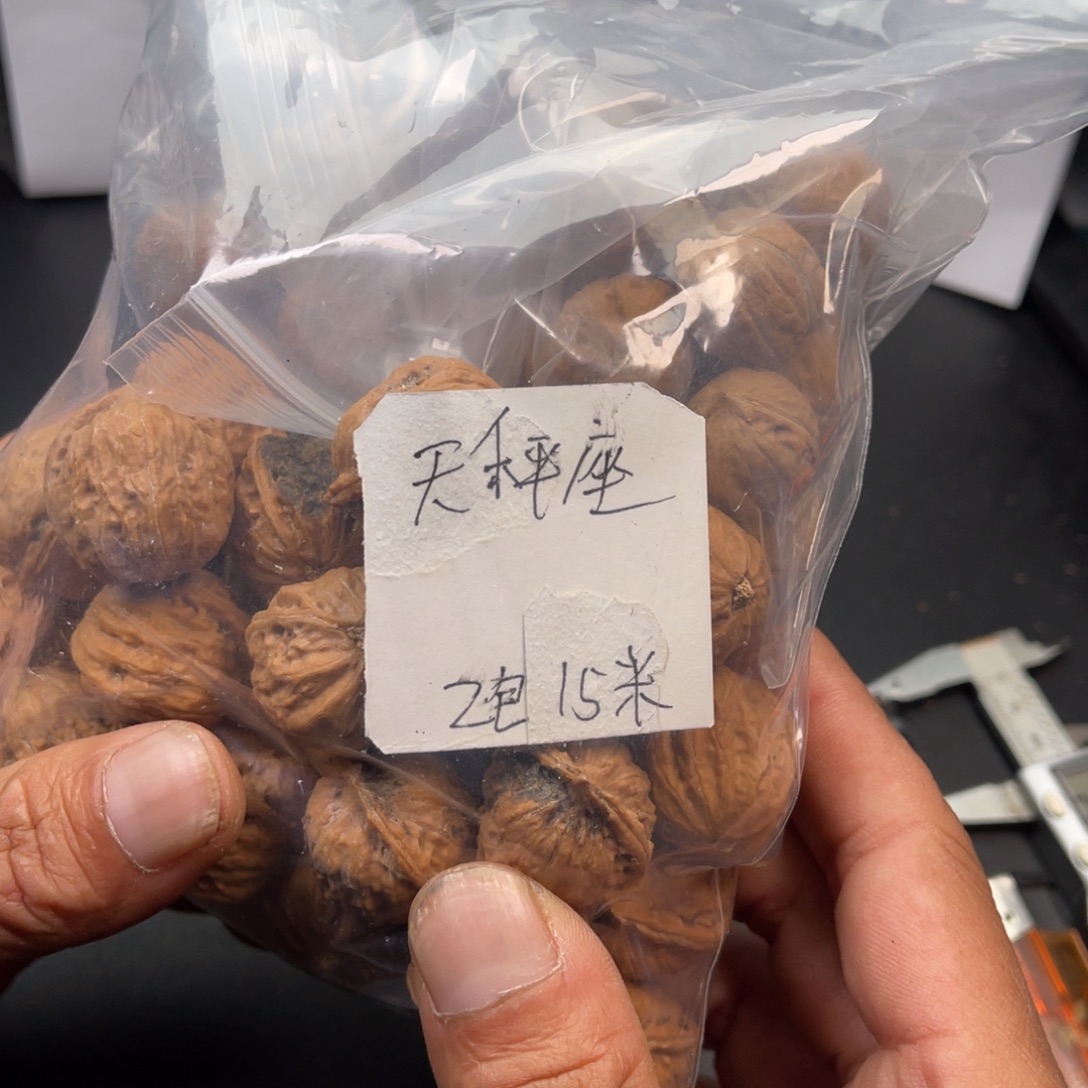 天***座野生小核桃2包15米