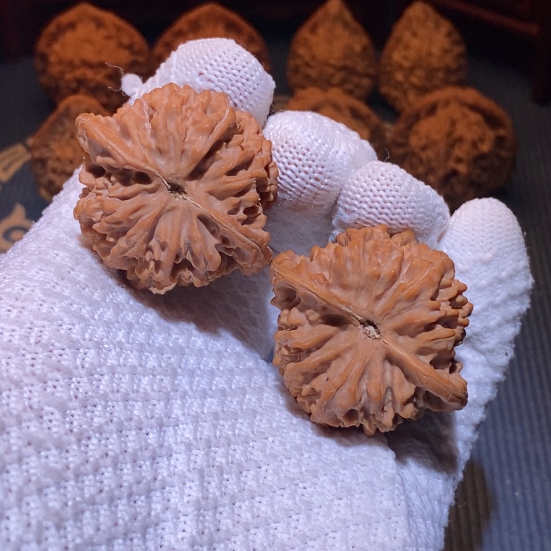 42尺 全品白茬 满天星