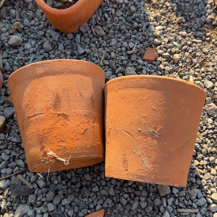 七***月14×13 两个粗陶微瑕