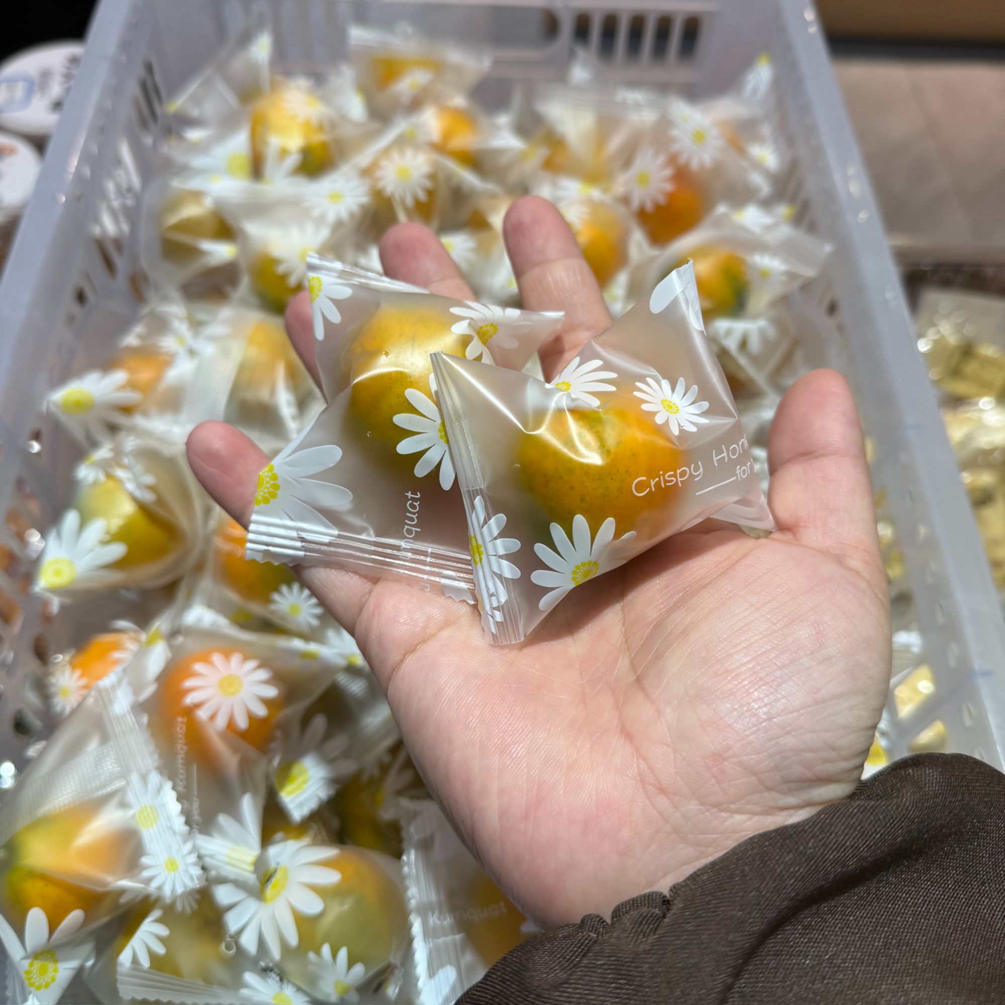 广西脆蜜金柑，39.9元500克