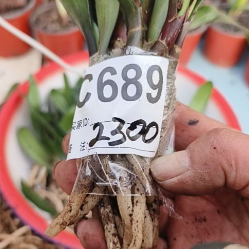 一***熟完全开放0689068900