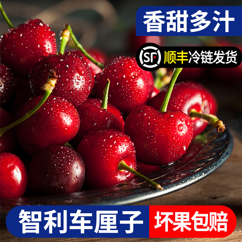 【楠姐臻选】车厘子进口桑提娜海运3J4J5J5斤内附果径卡