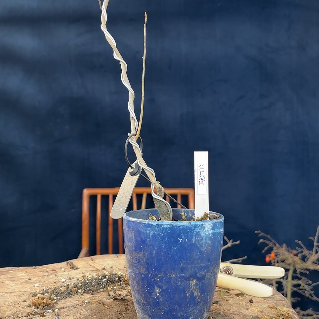 静***圆哈哈哈哈哈哈哈哈哈哈