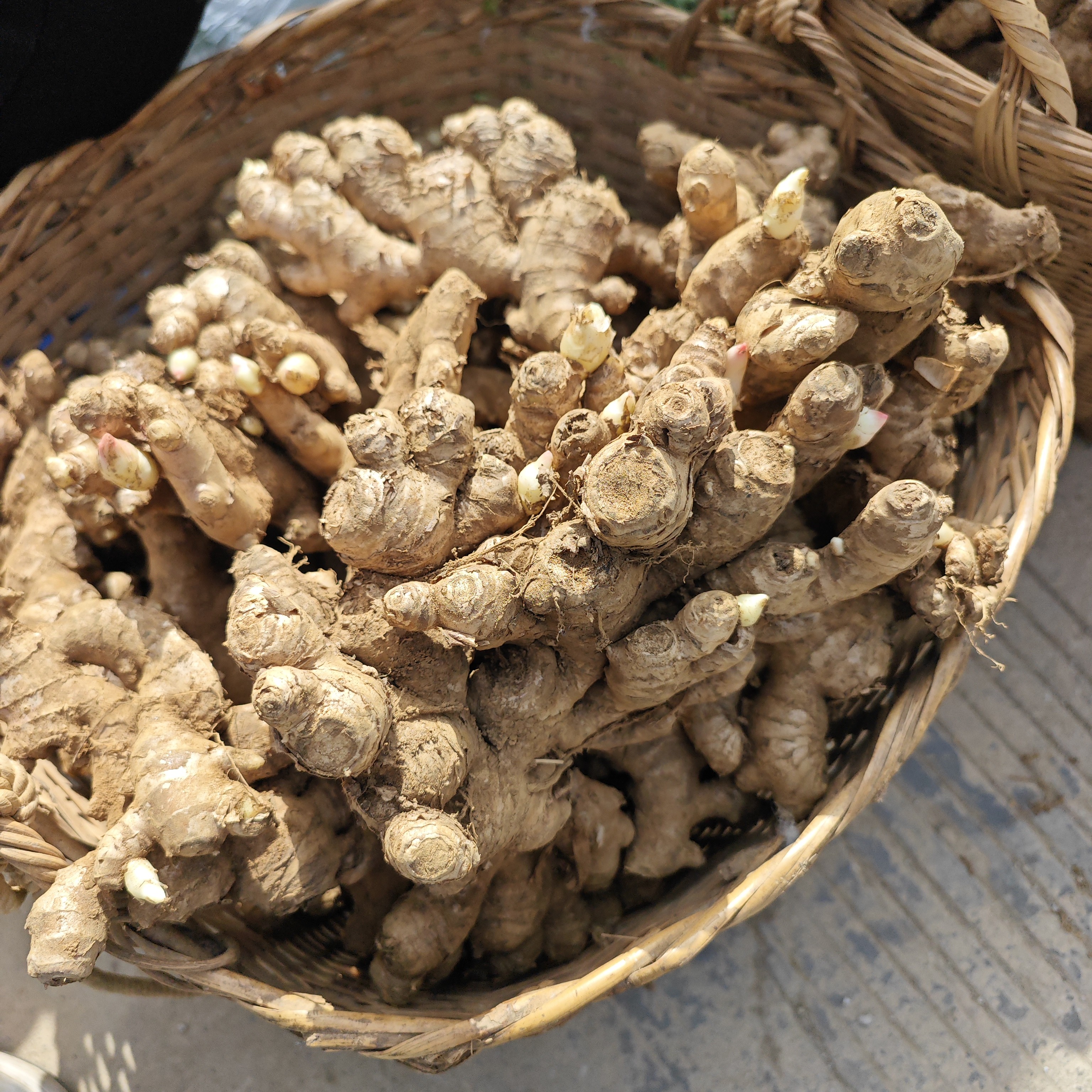 高山小黄姜新鲜现挖沙姜老姜仔姜月子姜健康蔬菜