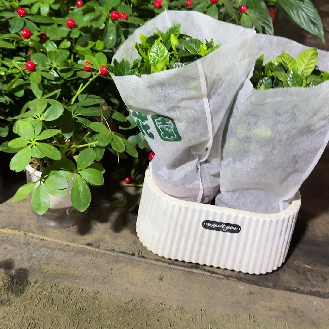 完全开放长方形盆