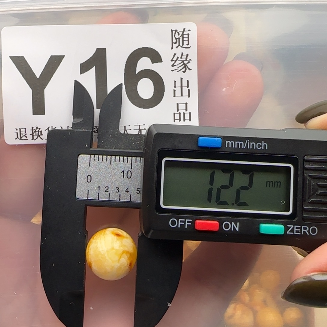 琥珀未镶嵌裸石12尺寸福利
