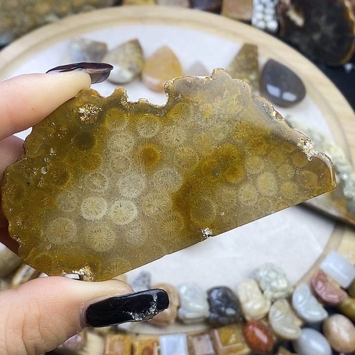 硅化玉未镶嵌颈饰