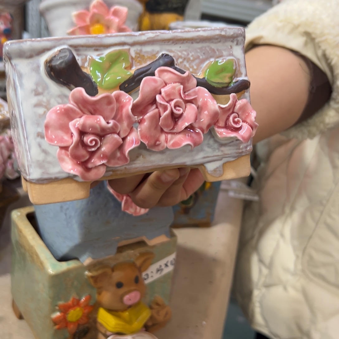 花盆，拍满20发货，退款拉黑