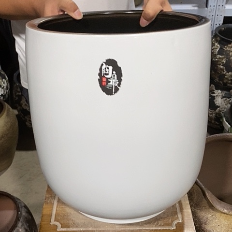 口30高度34白色8888