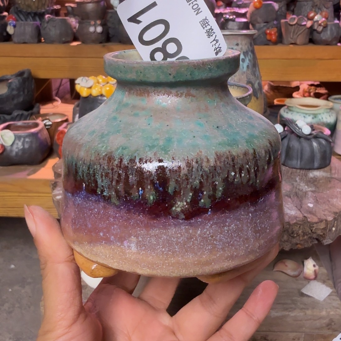 重庆小燕子欢迎大家801