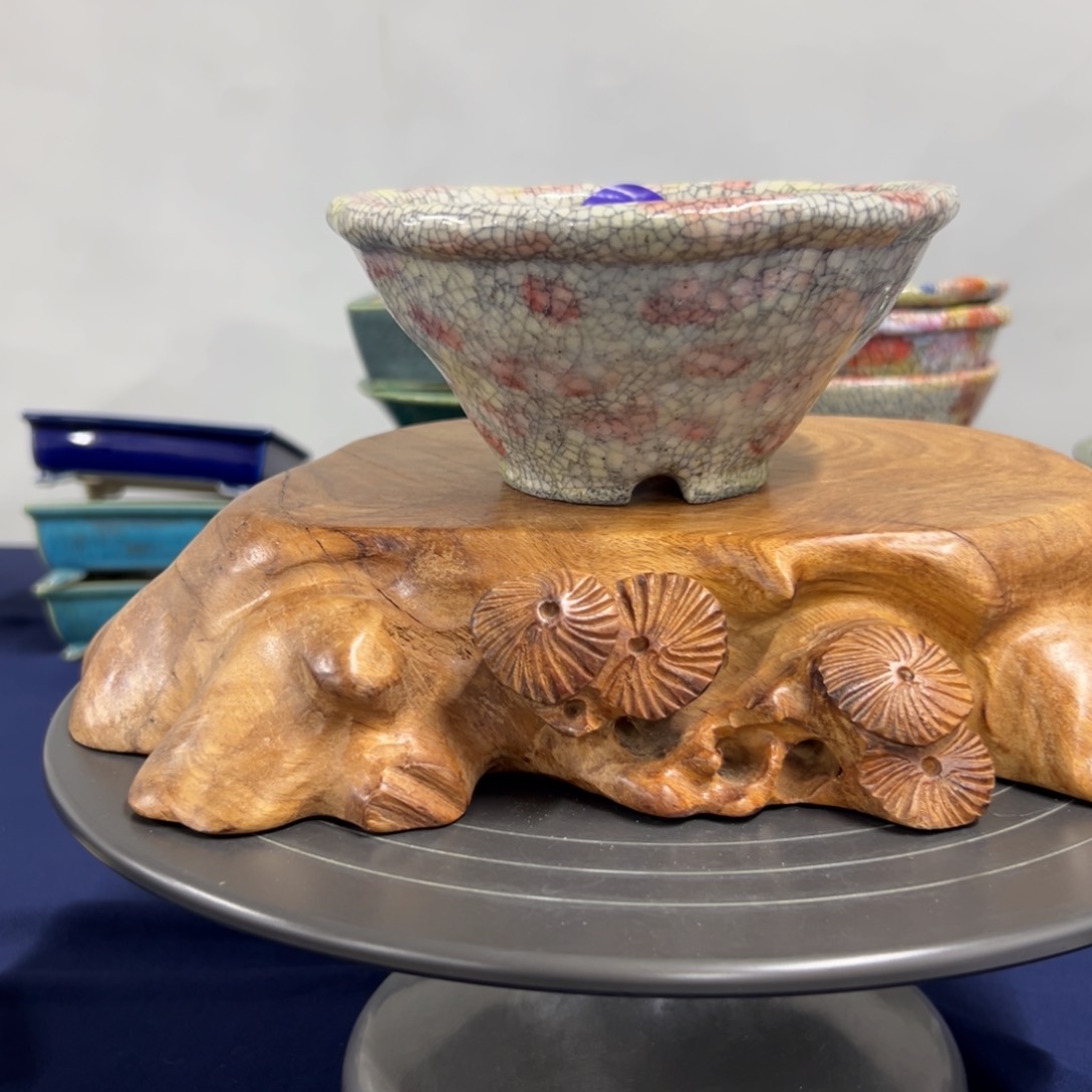 红陶花盆直播间等你