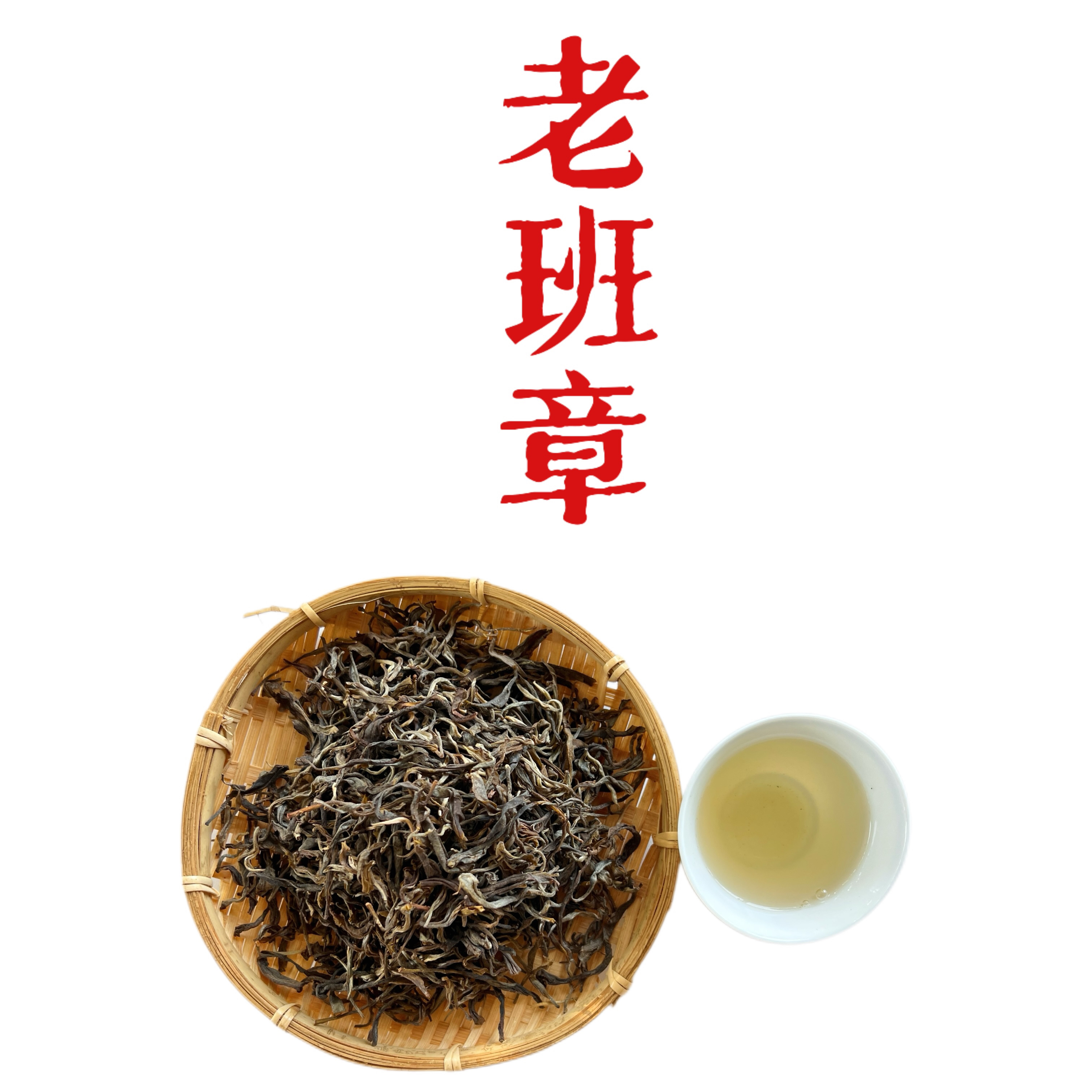 2024年 老班章 春茶大乔木 霸气外露款