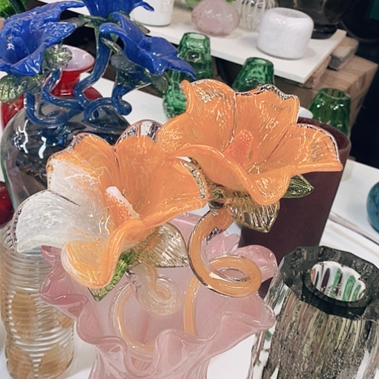 琉璃夜光花高45厘米