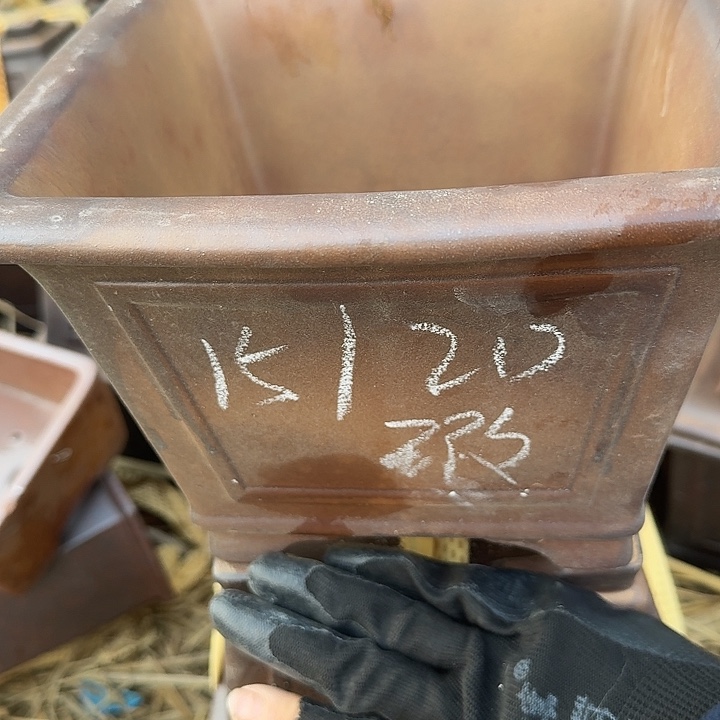 紫砂壶上传一遍说你想干坏事
