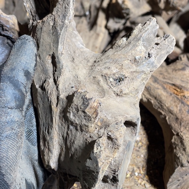 清***在贡木把件感谢大家