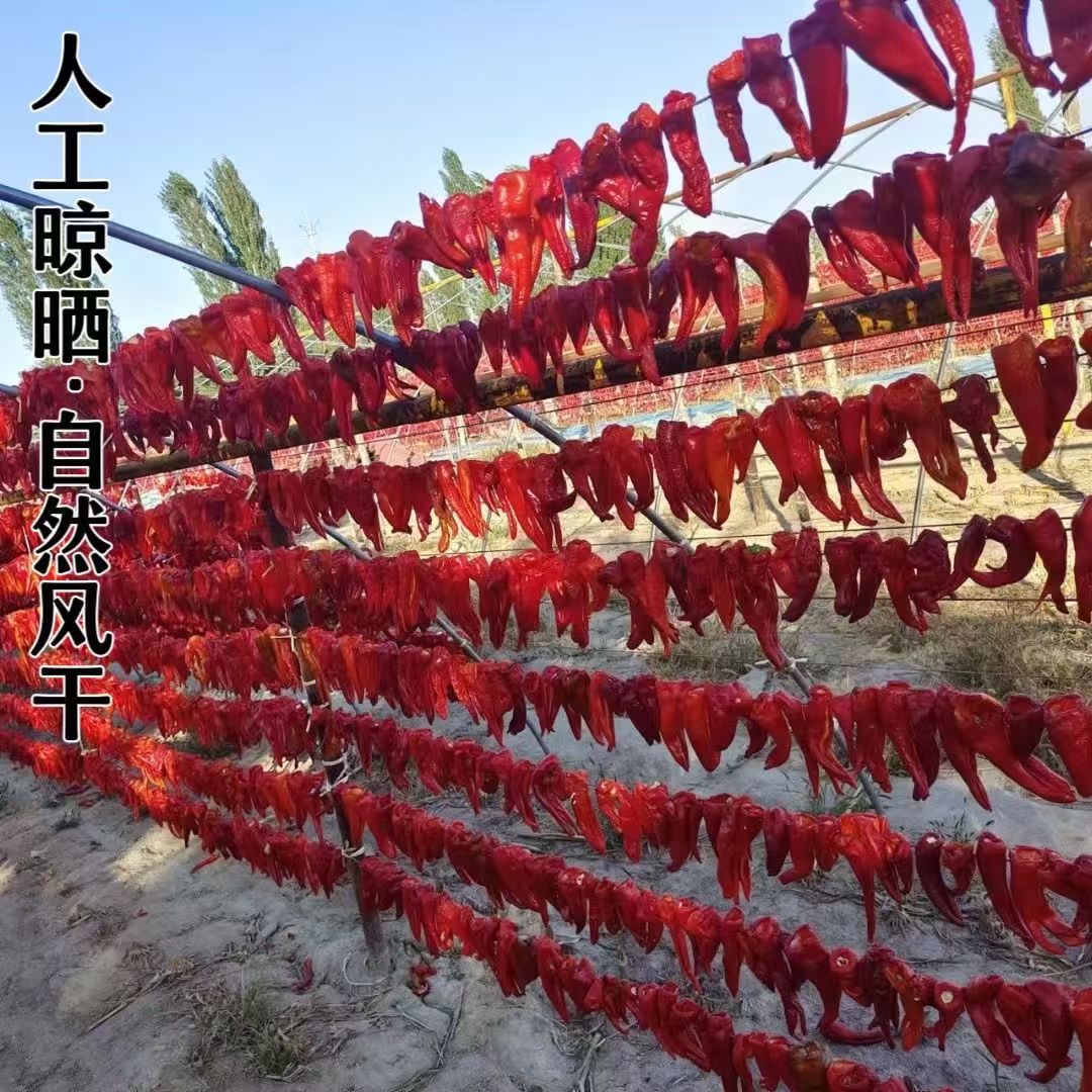 （中大果）焉耆辣皮子新疆头茬大肥肠厚肉干辣椒辣椒酱.辣皮子拌面