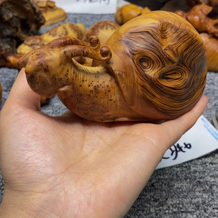 柏木（崖柏）崖柏143