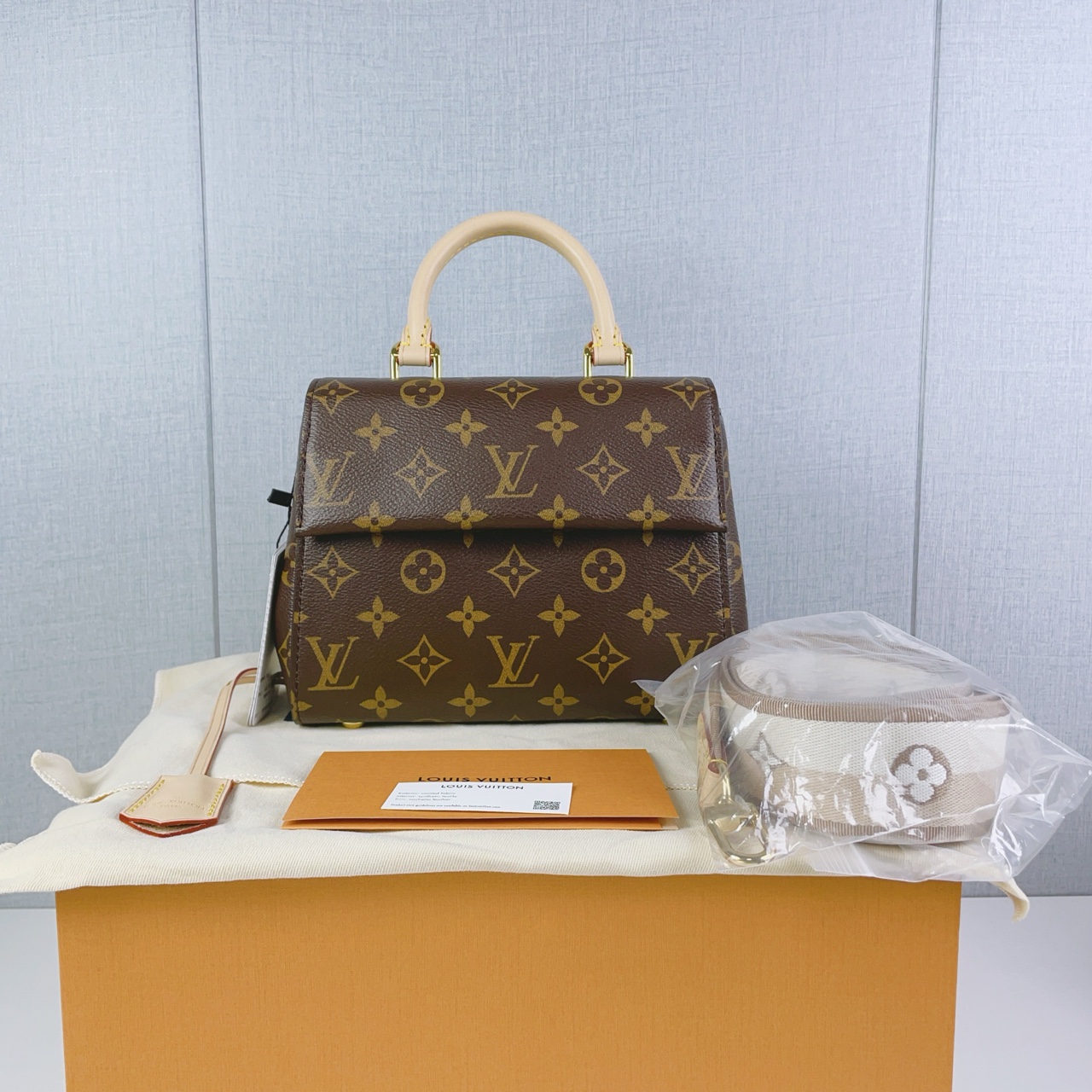 全新未使用 LOUIS VUITTON PARIS 新款克鲁尼mini 芯片款包包