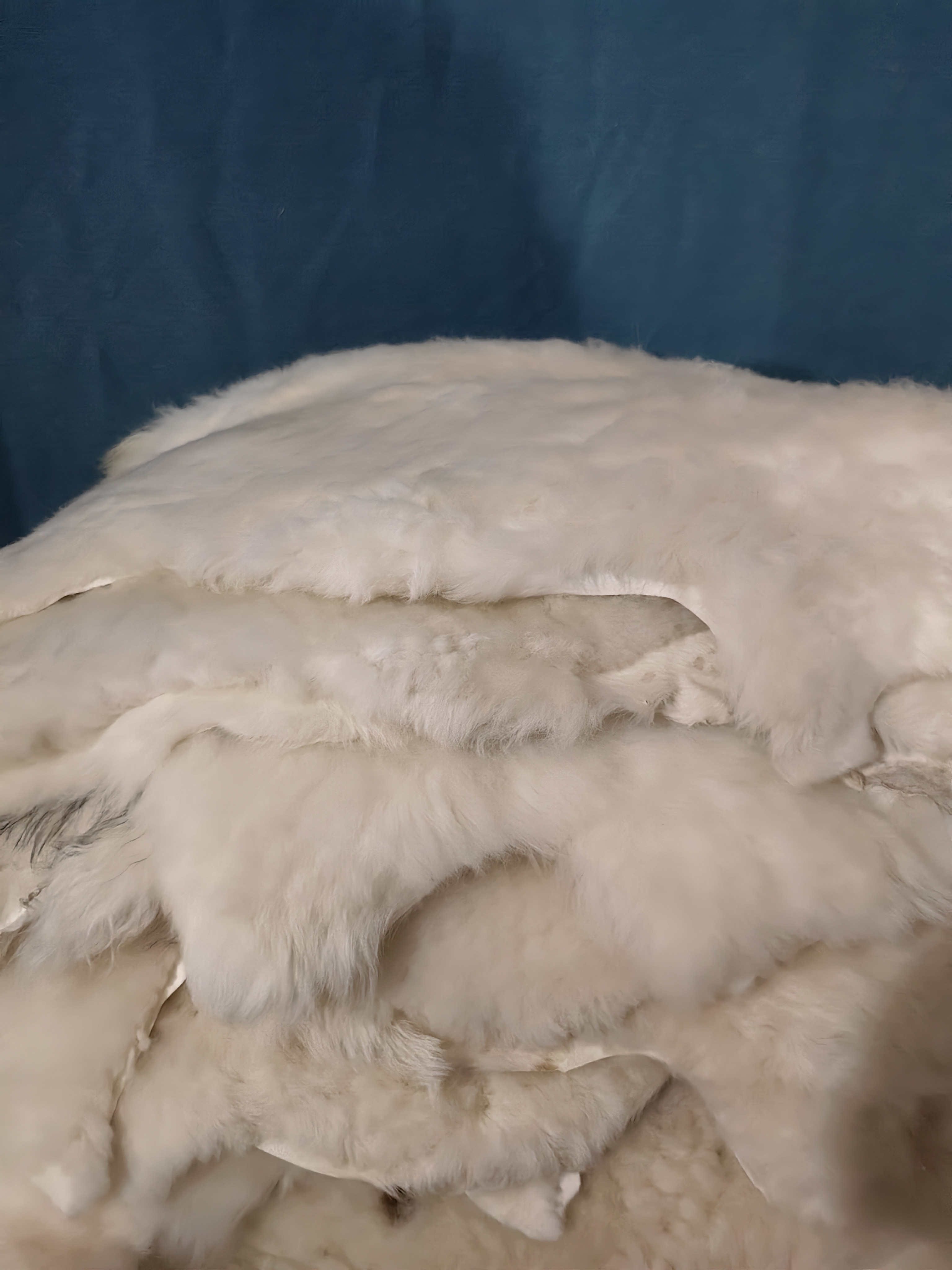 整张毛一体沙发垫飘窗垫卧室客厅坐垫