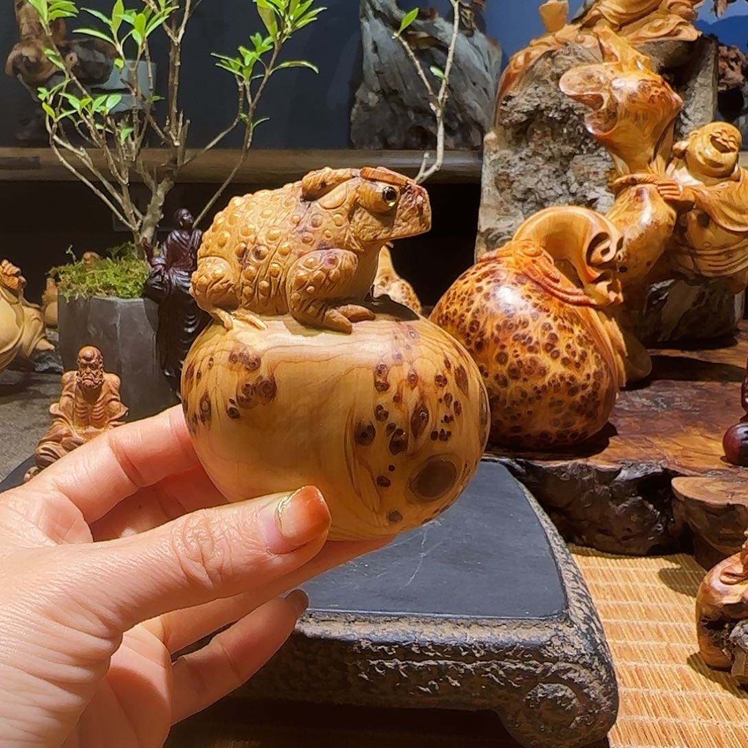 柏木（崖柏）太行集团