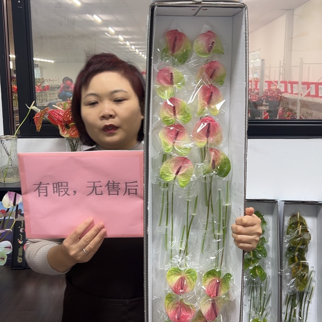 完全开放塞菲拉-20枝装无售后款！