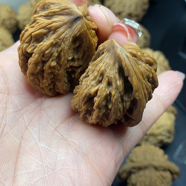 观***•大叶紫檀（黑酸枝木类）野生