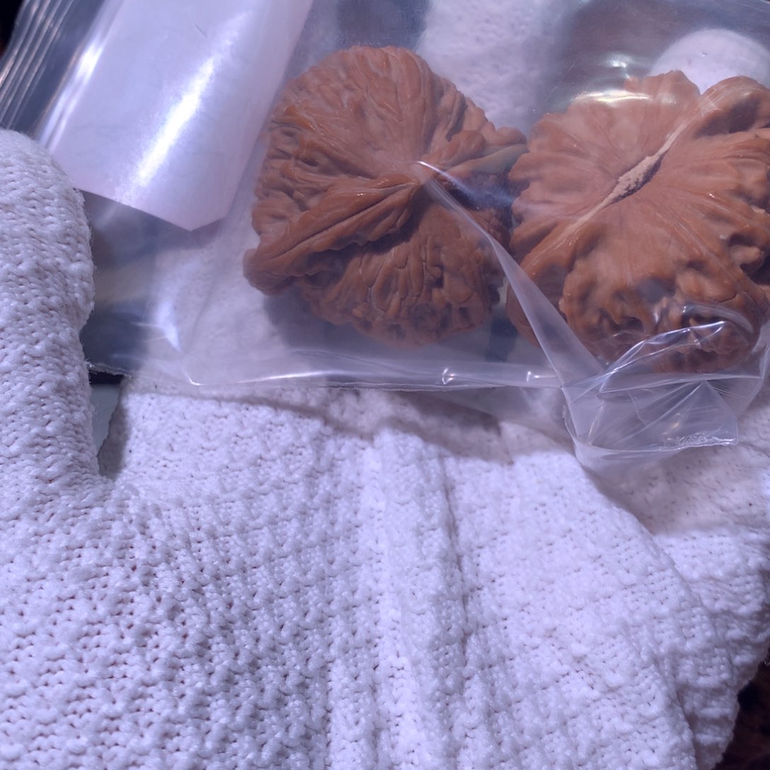 吊坠文玩核桃空*白狮子