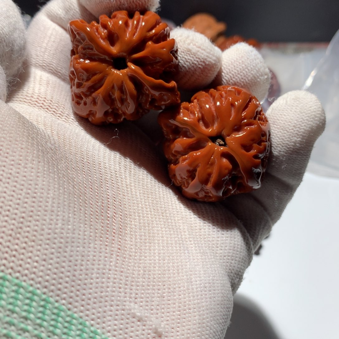 狼***总文玩核桃把件百年磨损的核桃