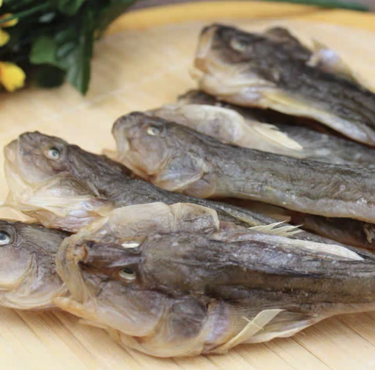 东港特产自晒胖头鱼干 淡盐咸鱼干 新鲜晒干胖头鱼干 8-9成干