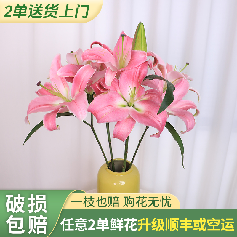 【两个老六卖花花】罗宾香水百合 任意2单升级快递发货后不支持退款
