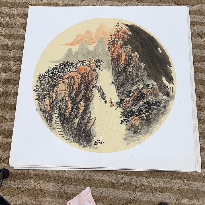 国画花鸟的翅膀和羽毛的