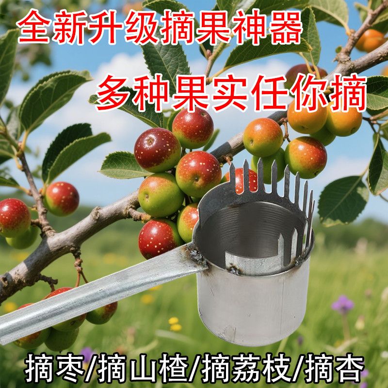 升级加厚2025新款酸枣不锈钢摘果器采果山枣柏树神器小枣工具扎手