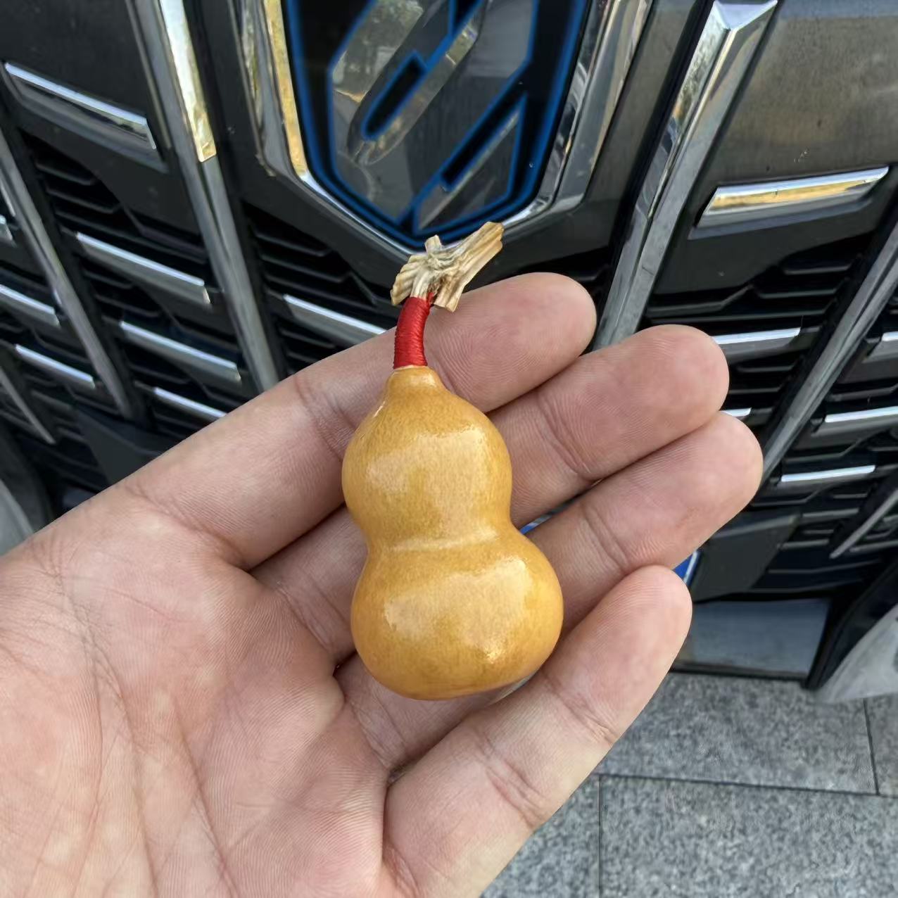 天然带龙头小葫芦直播专用一物一拍