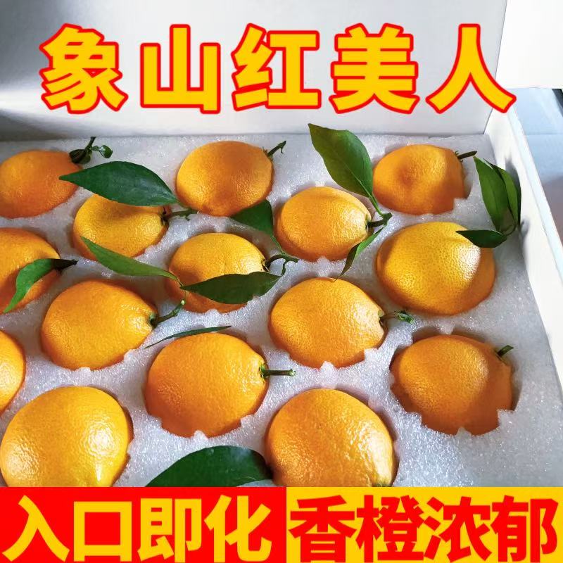 新鲜采摘象山红美人果冻橙汁多化渣果园直发