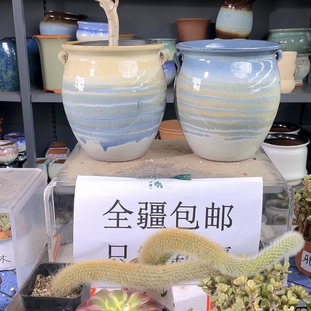 粗陶大号两个装啊