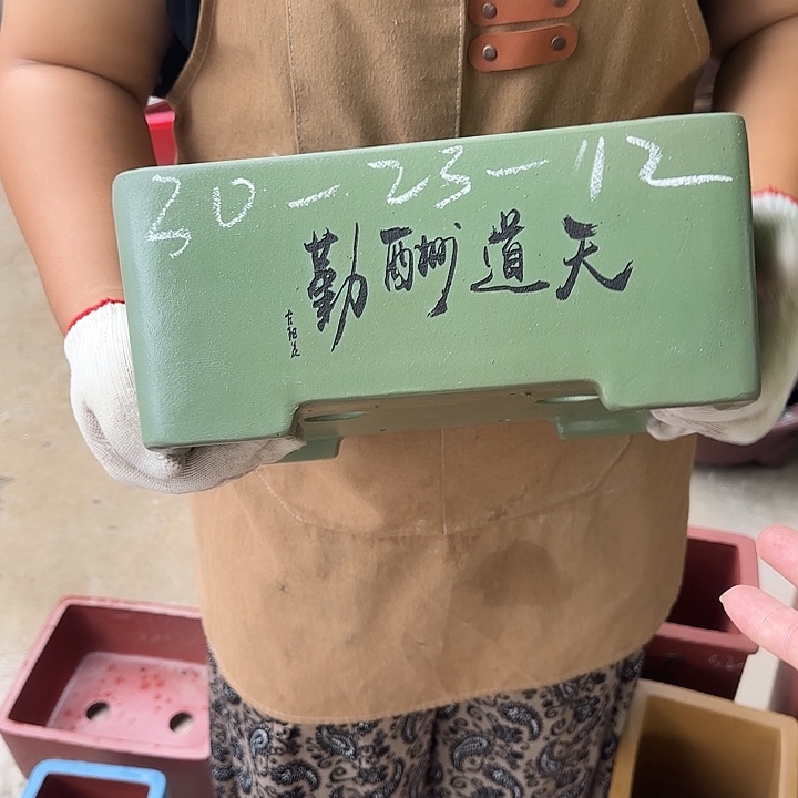 不敢于表达出你不
