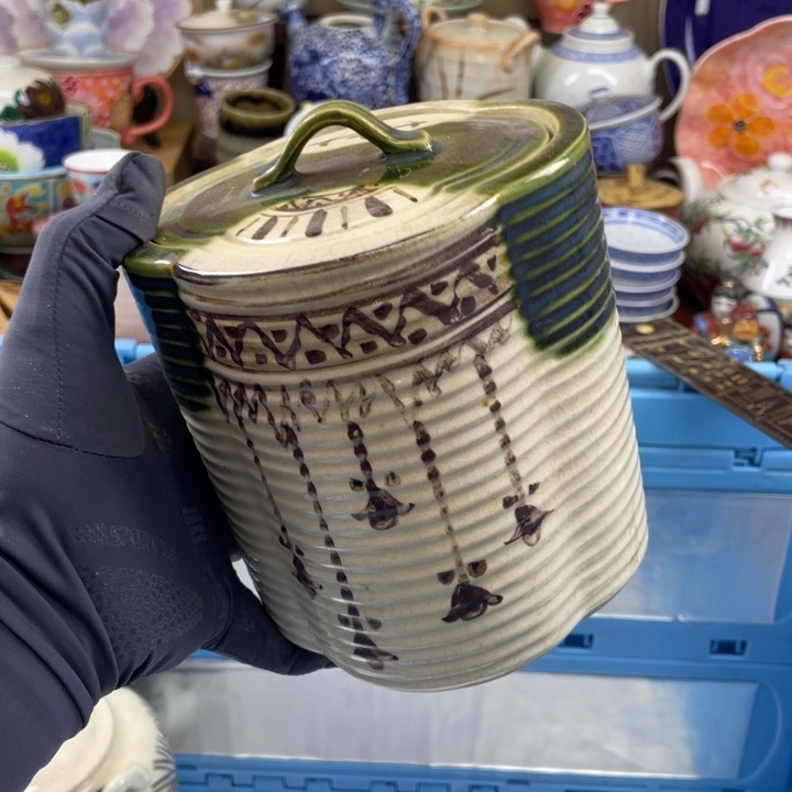 碟开播了开播了开播了