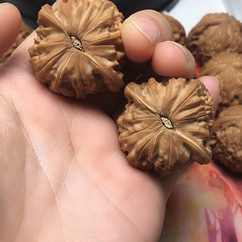 文玩核桃把件磨盘啊