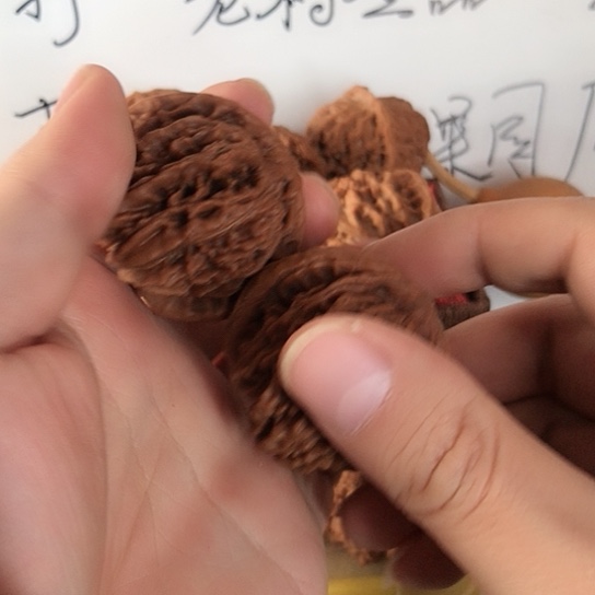 想***子四座楼狮子头40四座楼狮子头