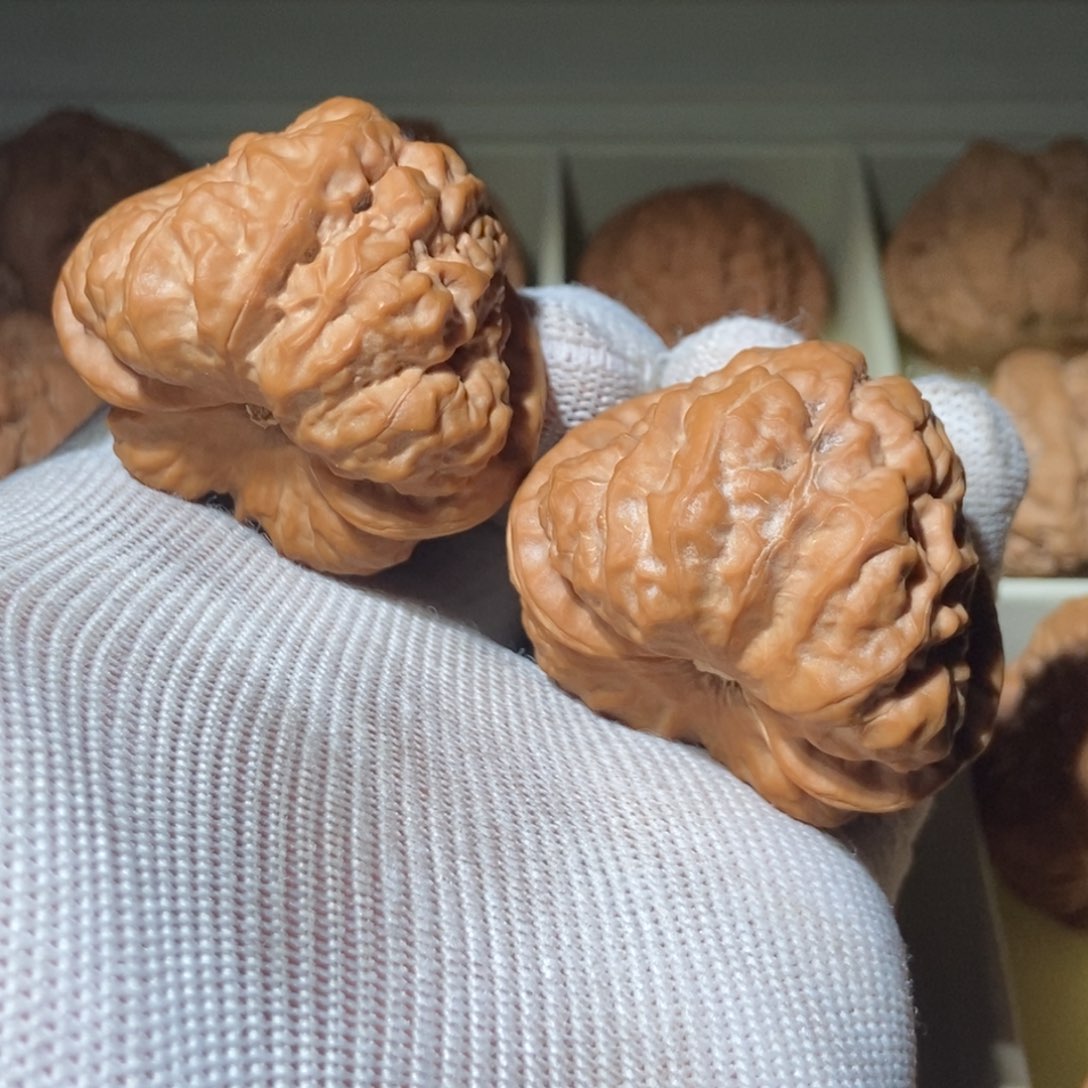 文玩核桃把件小***全44蛤蟆