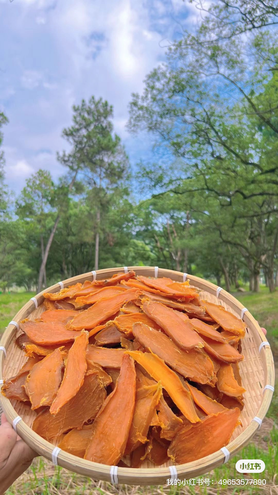 江西莲花纯手工农家红薯干津甜好恰