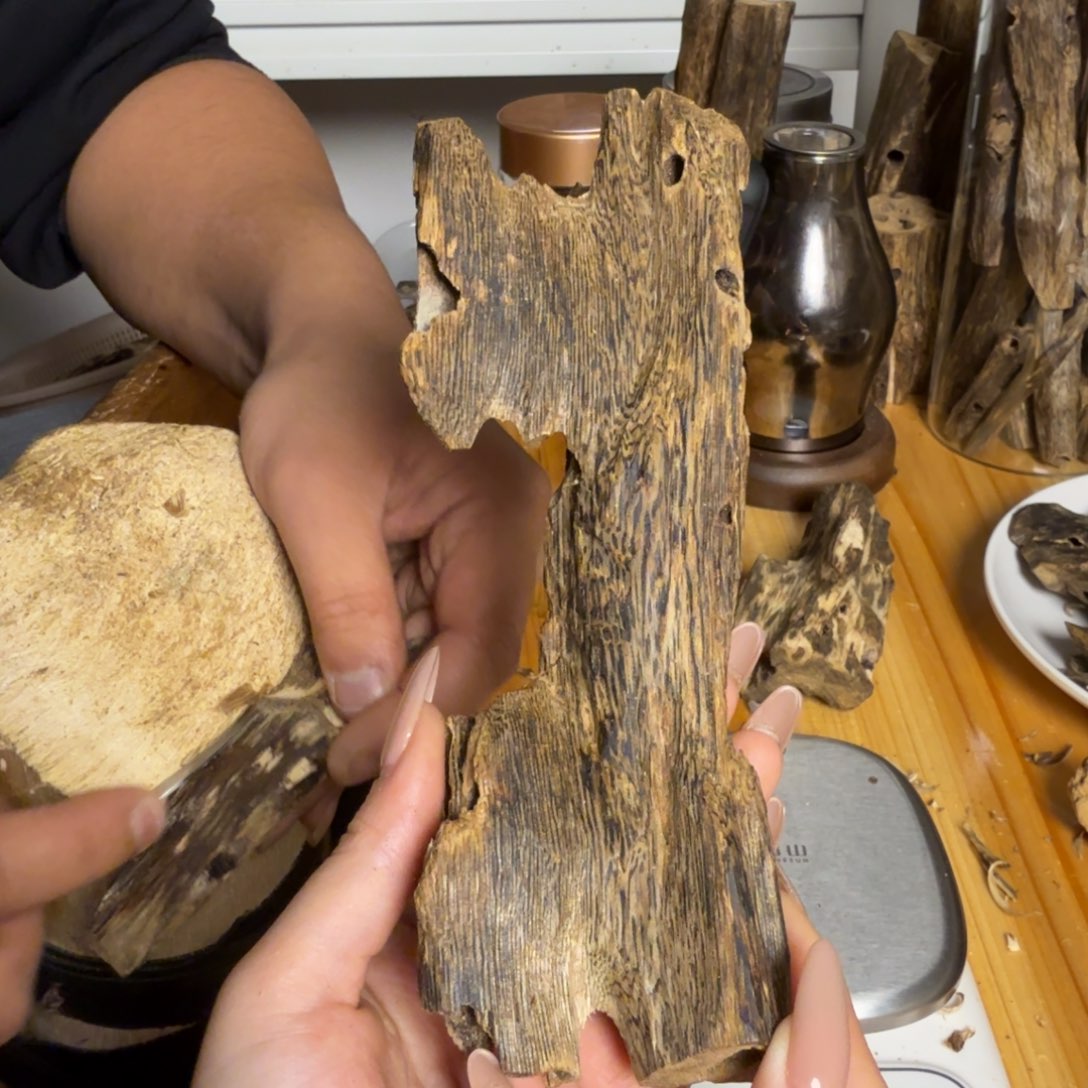 沉香紫奇虫漏62克