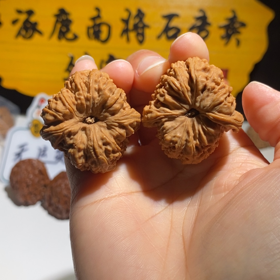 袁***辣大叶紫檀（黑酸枝木类）