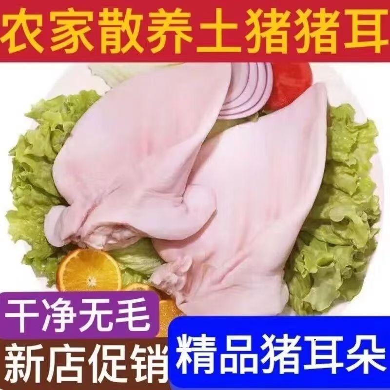 【买3斤送2斤】新鲜猪耳朵土猪整片猪耳锁鲜发货冷链包邮到手5斤jj