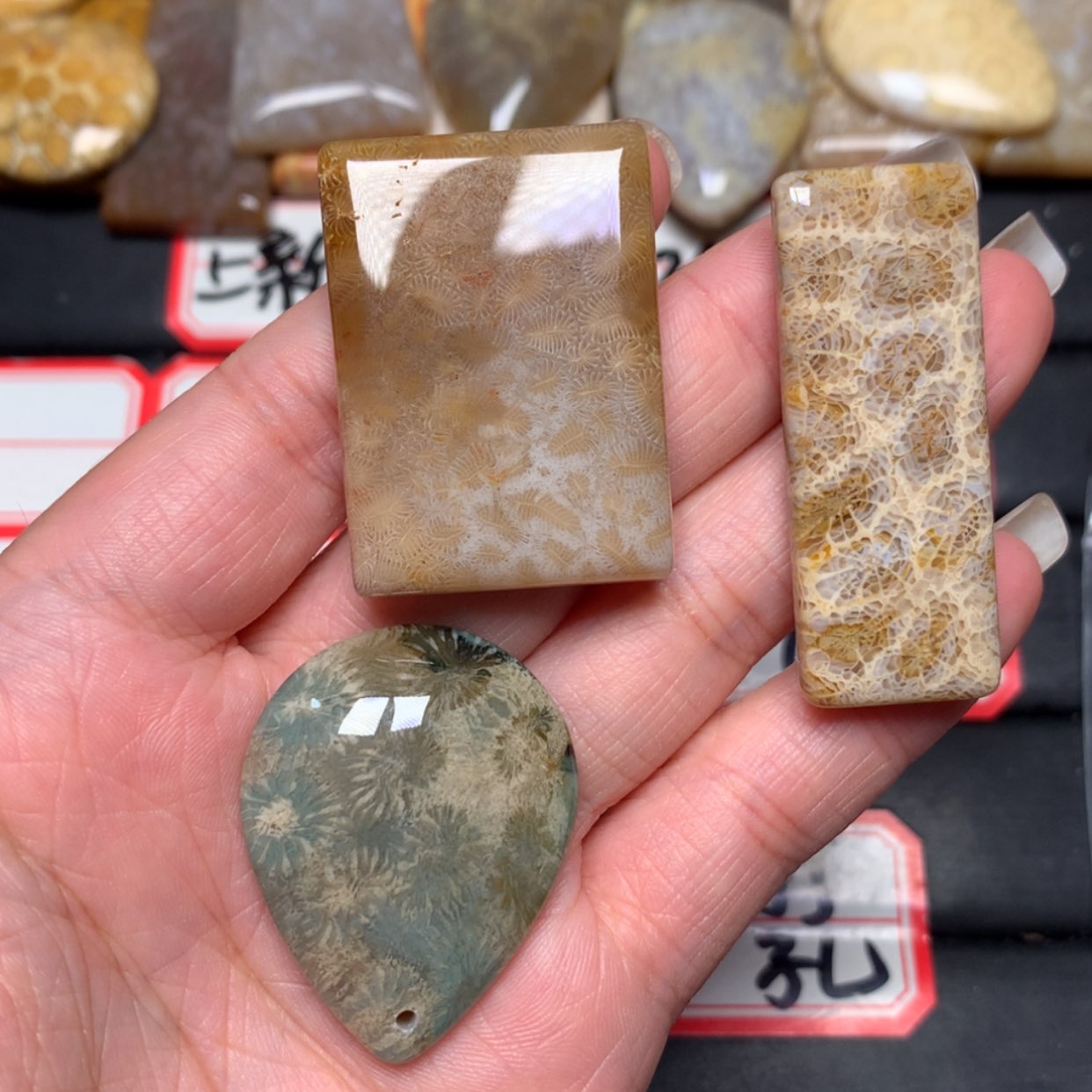 【闪购商品】未镶嵌颈饰硅化玉野****数