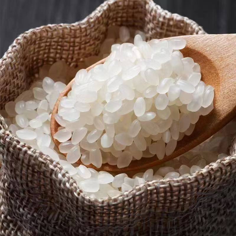 【睿途科技报名卡】送盘锦蟹田大米5斤装【联系客服】