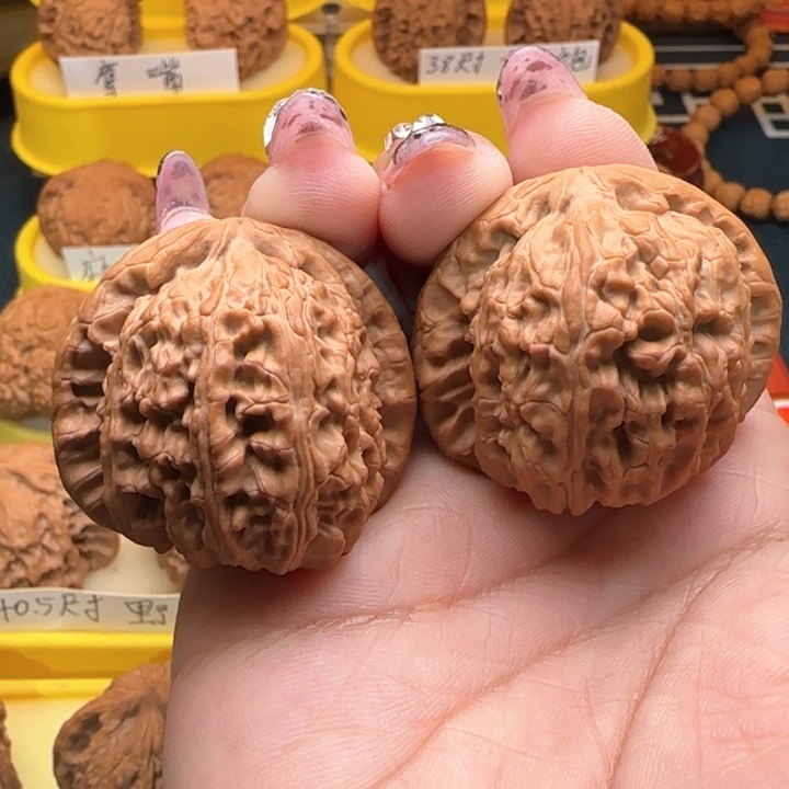 是***子弯弯核桃白狮子问问核桃白狮子